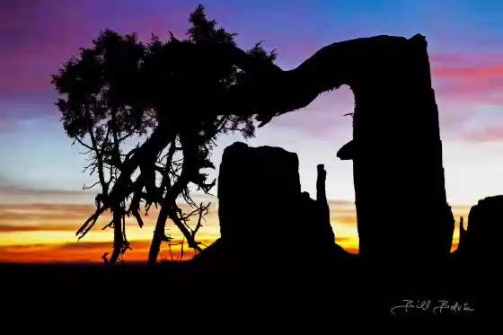 West Mitten Framed West Mitten framed by Tree, tree has since been cut down