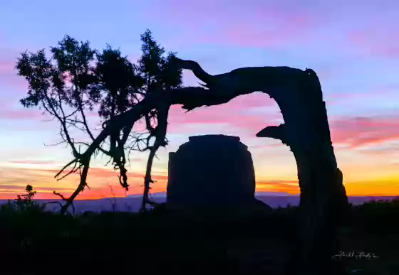 Merrick Butte Framed Merrick Butte in Monument Valley framed by a tree, the tree was cut down when the Monument Valley Campground was built.