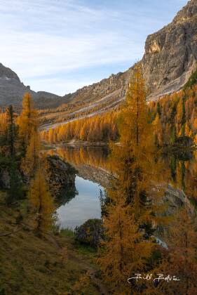Lago Federa from the trail Larch and Lago Federa seen from the trail in the Dolomites, Italy..