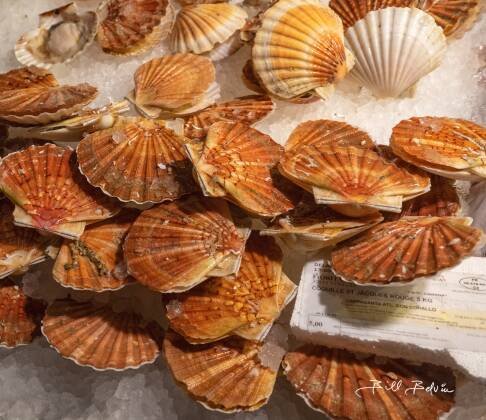Scallops Scallops for sale seen at the Mercato di Rialto fish market in Venice, Italy..