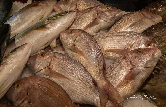 Sea Bream Sea breem seen at the Mercato di Rialto fish market in Venice, Italy..