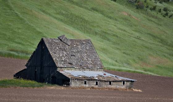 Barn Barn off Highway 23 on way to St John in the Palouse