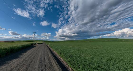 Palouse Byway Endicott Rd in the Palouse.