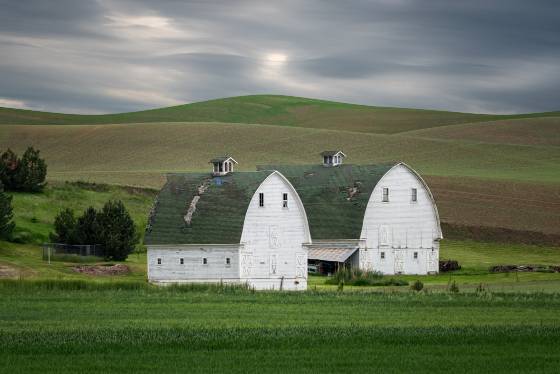 Palouse Twin Barns 2 Twin Barns viewed from Oakesdale Road in the Palouse