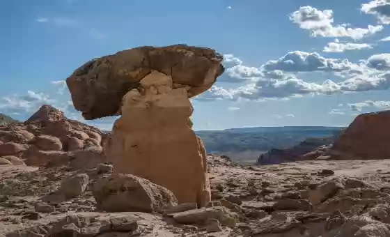 White Hoodoos 4 White Hoodoos found west of Toadstool Hoodoo