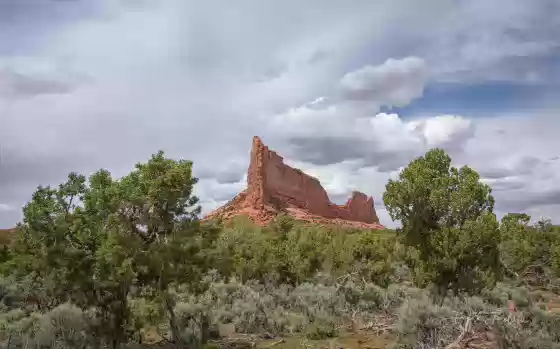 North of parking pullout The view north from the parking pullout.