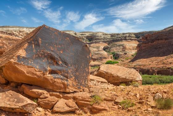 Petroglyphs Petroglyphs seen on way to Poncho House in the Navajo Nation