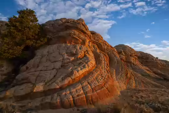 The Flame Wave at Sunrise The Flame Wave in Vermilion Cliffs National Monument, Arizona