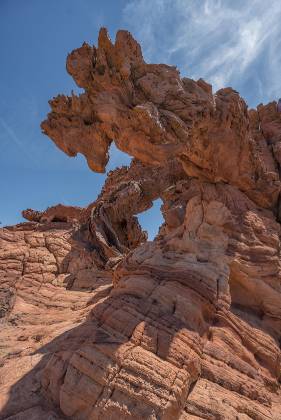 Scotty Terrrier shaped rock near Double Barrel Arch in Vermillion Cliffs National Monument