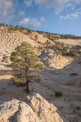 Ponderosa 3 Joes' Ranch in Vermilion CLiffs NM, Arizona