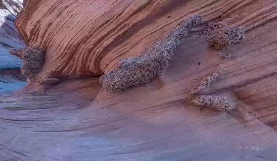 Unusual Rock Conglomerate Small Rocks on side of cliff in Vermilion Cliffs National Monument
