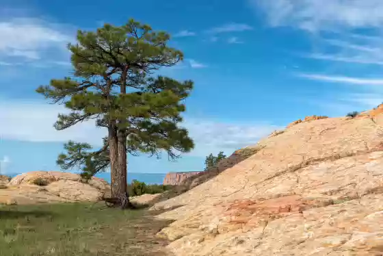 Looking South 2 Soap Creek Tank in Vermilion Cliffs NM
