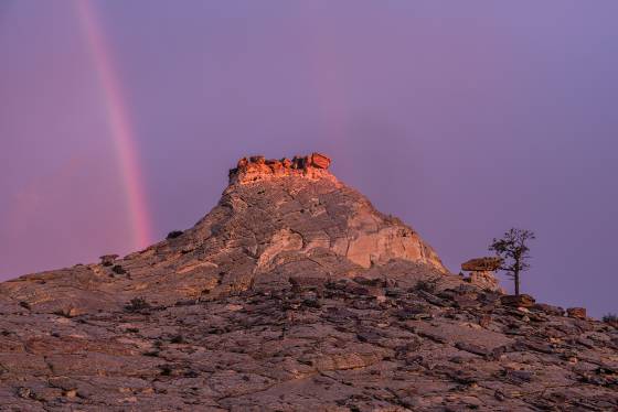 Rainbow 1 Rainbow over Soap Creek in Vermilion Cliffs NM