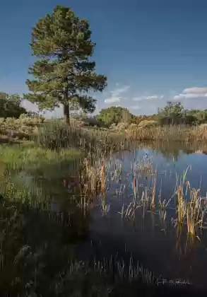 Soap Creek Tank always has water?