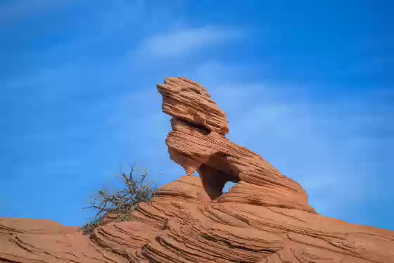 Yet Another Lion King Arch Double arch that looks like a lion in Grand Staircase Escalante NM, Utah.. On the west side of Crossbed Castle Butte.