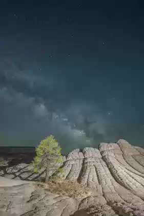 The Milky Way over The Tree 2 The Milky Way rises over a Ponderosa Pine at The White Pocket in Vermilion Cliffs NM