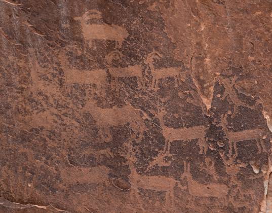 Petroglyphs Petroglyphs at The White Pocket