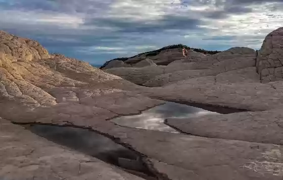 Water Pools Sunrise at The White Pocket