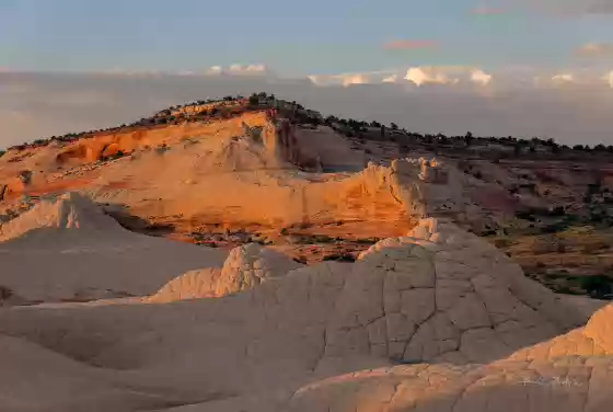 Tan Late light at The White Pocket