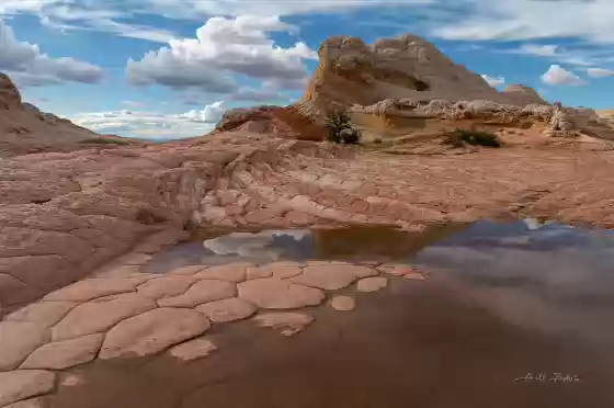 The Swirl Reflection 3 The Swirl, an example of soft sediment deformation at The White Pocket