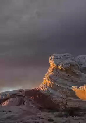 The Swirl in March 1 The Swirl, an example of soft sediment deformation at The White Pocket