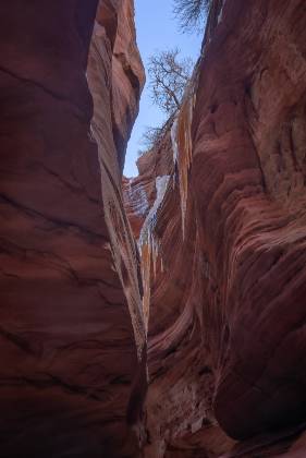 Icicles in Red Canyon Red Canyon, also known as Peekaboo Canyon, near Kanab Utah