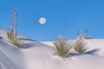 Setting Full Moon in White Sands NP